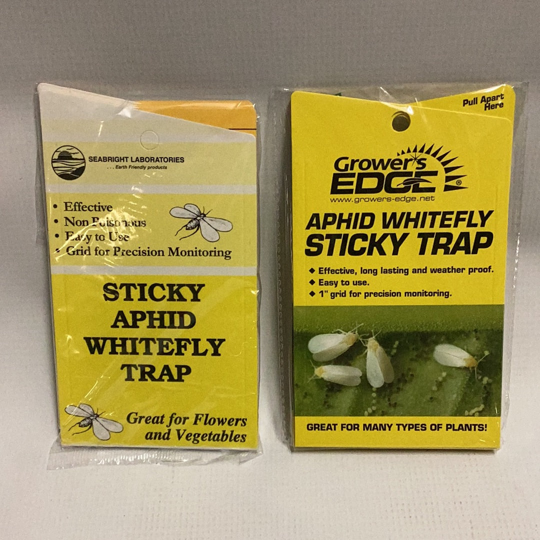 Sticky Whitefly Traps 5/Pk-Pull Apart : 5 Pack