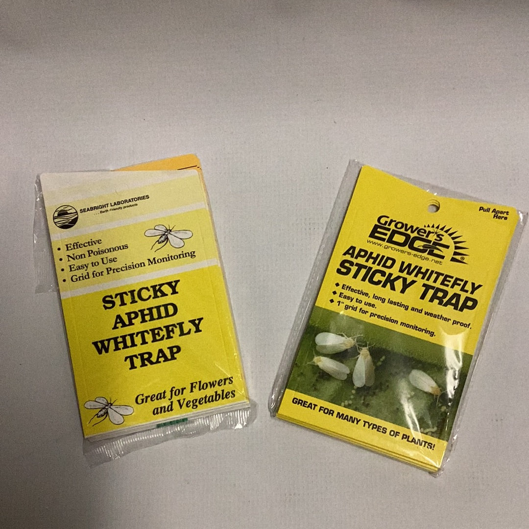 Sticky Whitefly Traps 5/Pk-Pull Apart : 5 Pack