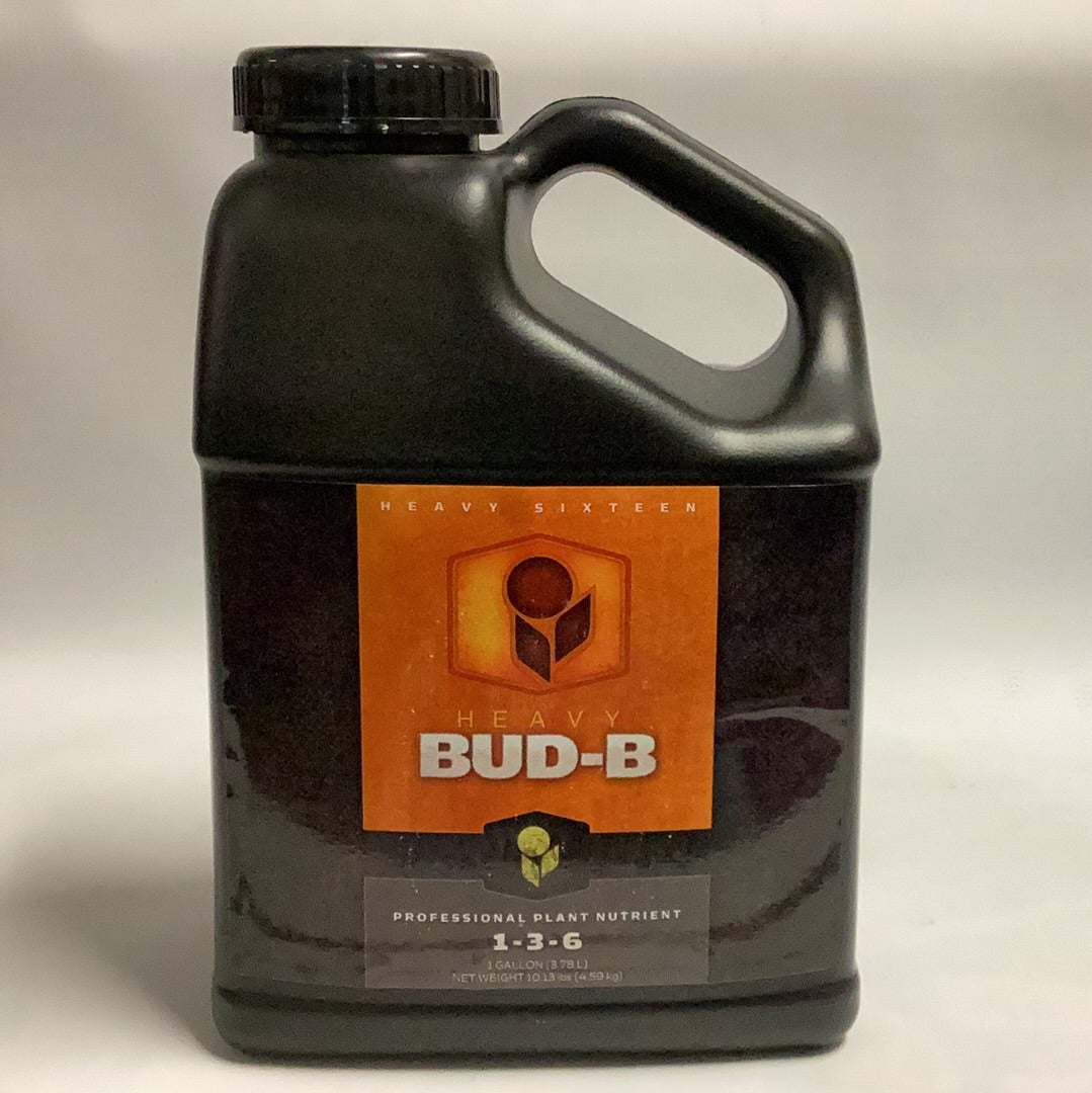 Heavy 16 Bud B-1 Gal