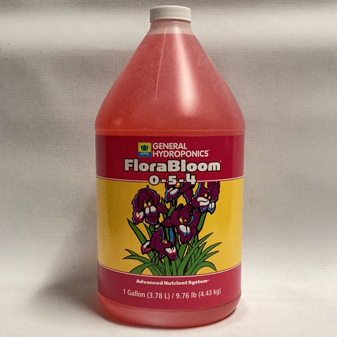 GH Flora Bloom-Pink : 1 Gal