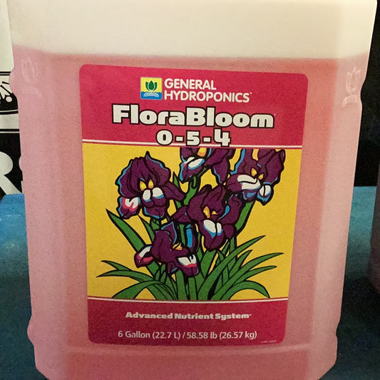 GH Flora Bloom-Pink : 6 Gal