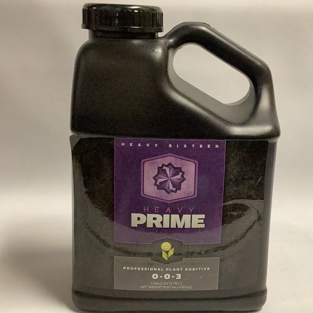 Heavy 16 Prime-1 Gal