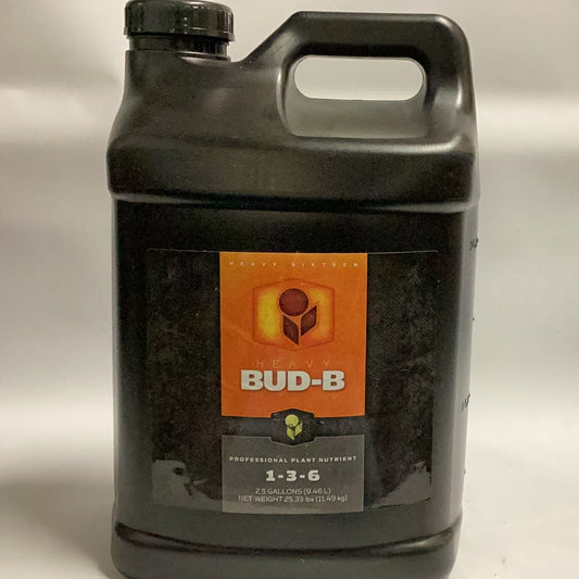 Heavy 16 Bud B-2.5 Gal