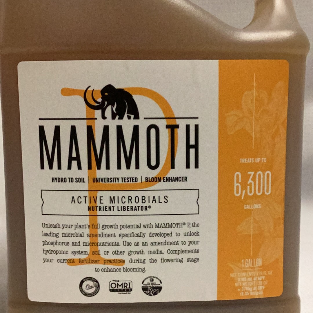 Mammoth P-1 Gallon