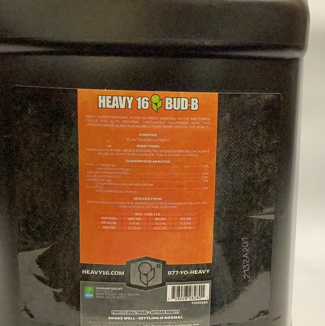 Heavy 16 Bud B-2.5 Gal