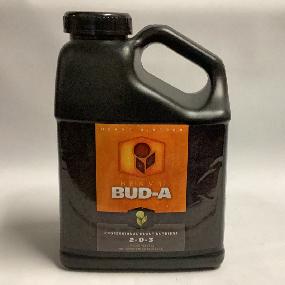 Heavy 16 Bud A-1 Gal