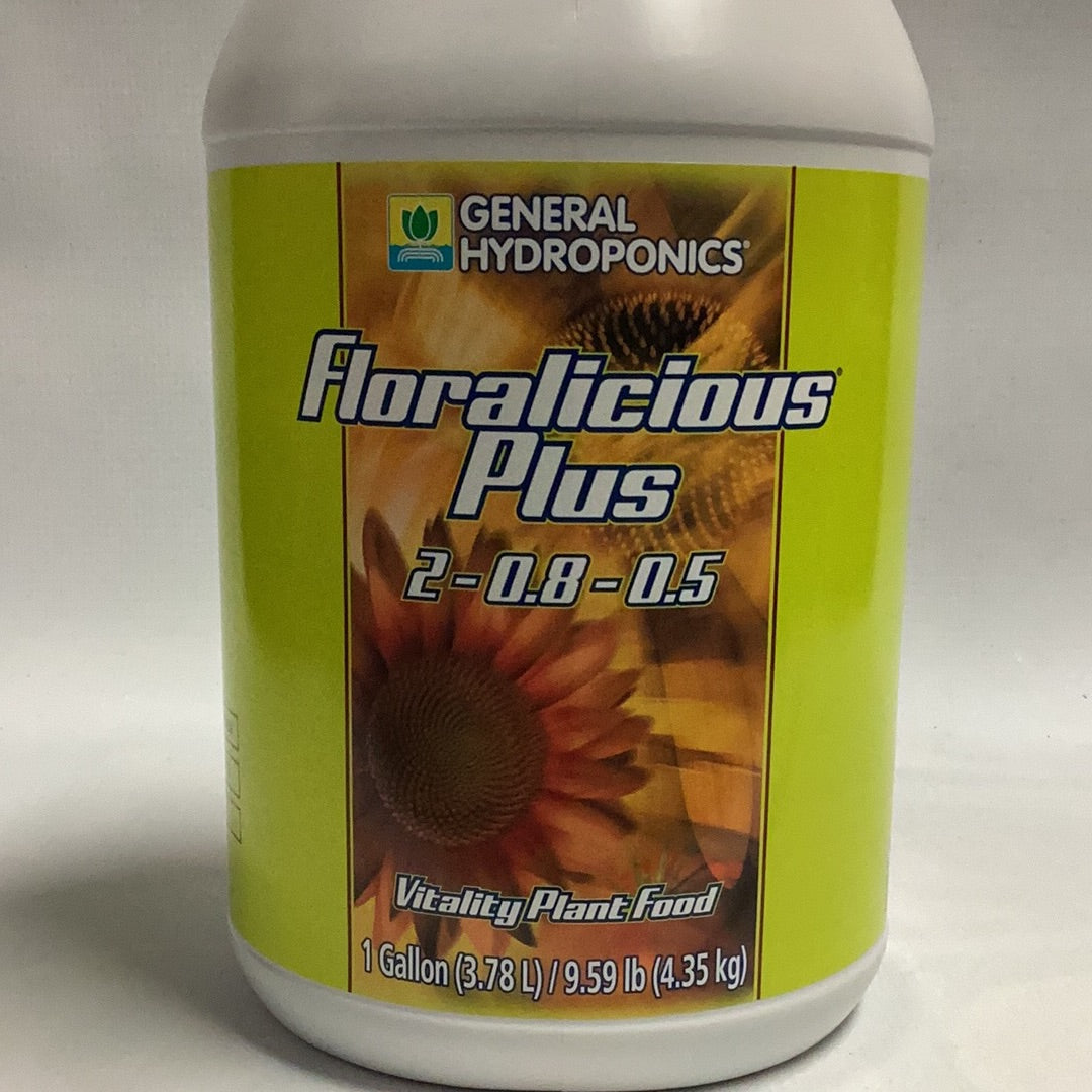 GH Floralicious Plus-Kelp : 1 Gal