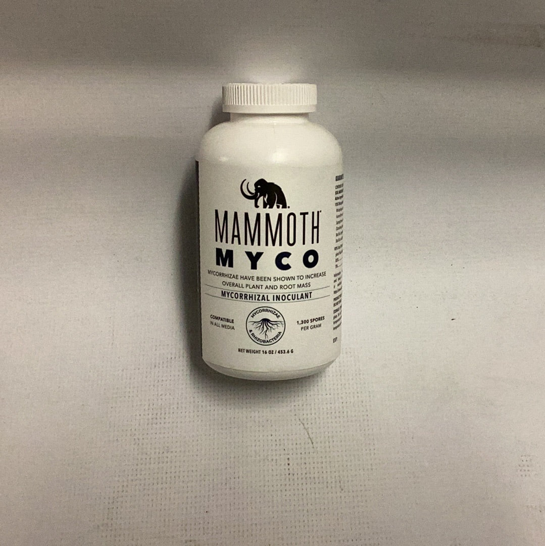 Mammoth Myco-16 oz