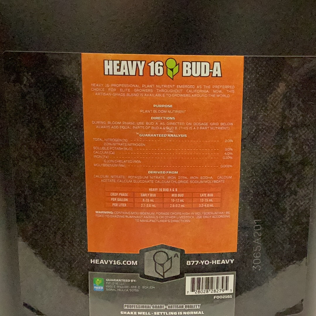 Heavy 16 Bud A-2.5 Gal