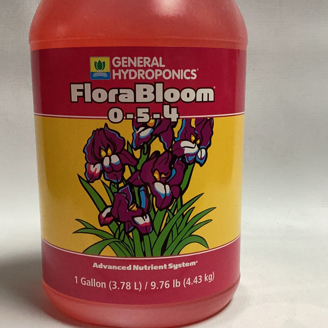 GH Flora Bloom-Pink : 1 Gal