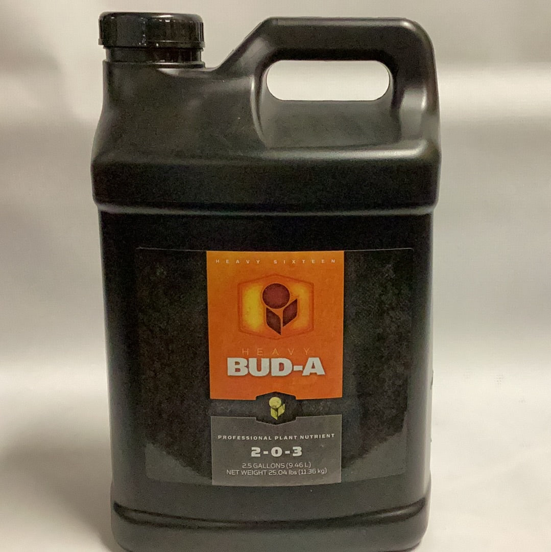 Heavy 16 Bud A-2.5 Gal